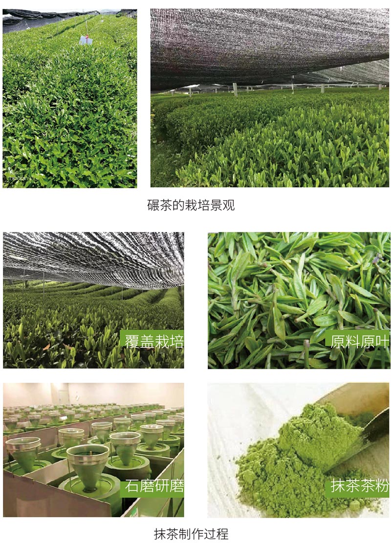 1586571519267372.jpg 未標(biāo)題-1.jpg